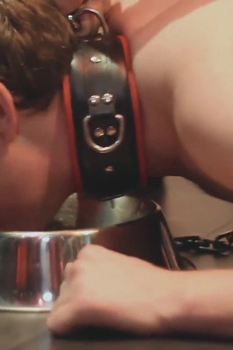 Cooking with Blake: Barney Part 1