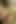 Eva May, Michelle Thorne, Cindy Behr, Stacey Saran, Anna Stevens: sürtük yıldızların yüze boşalmayla biten lezbiyen grup seks partisi