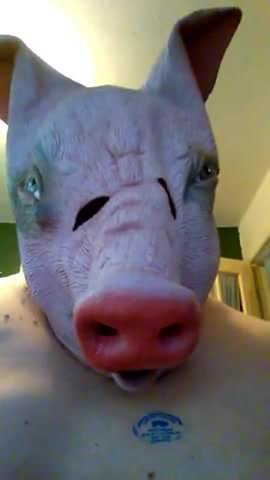 Piggie Confessions