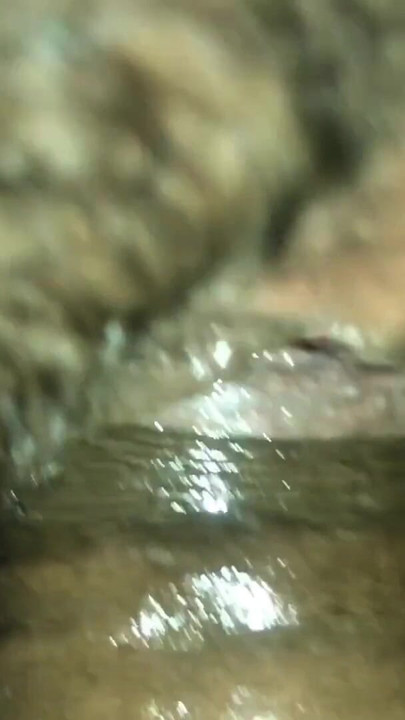 Must-see moment from "Indian bhabhi new full sex and hard sex full time full night"
