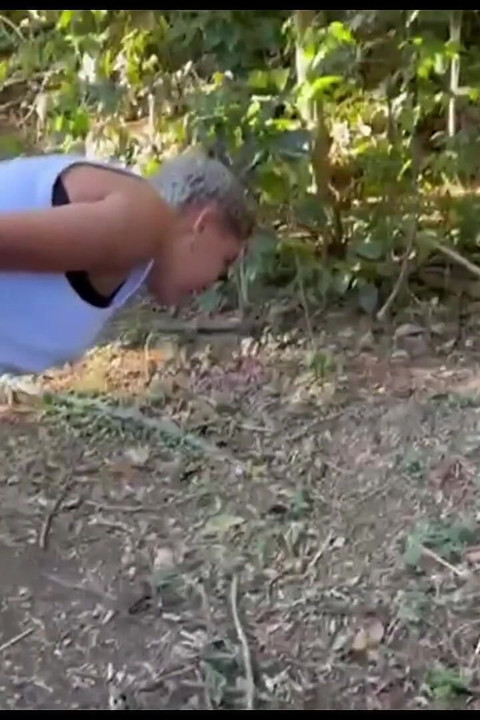 I Went Into the Bush with the Hot Boy It Was Delicious This Walk in the Bush