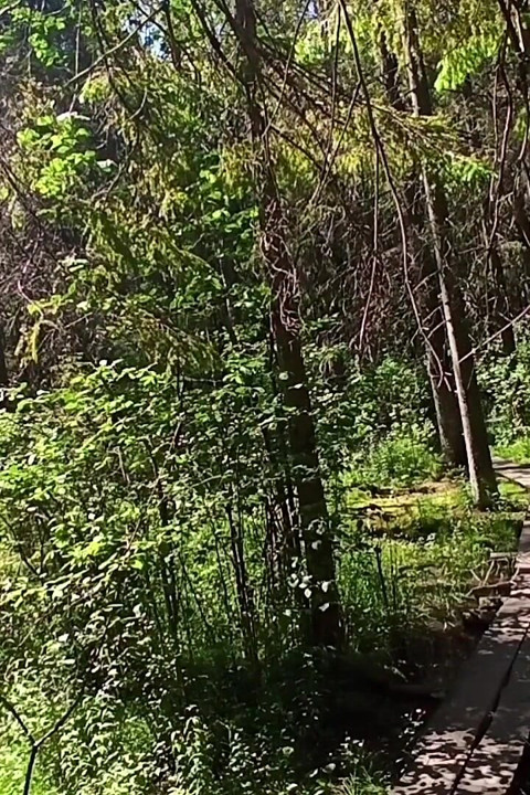 Naked Hike Near Helsinki City Center