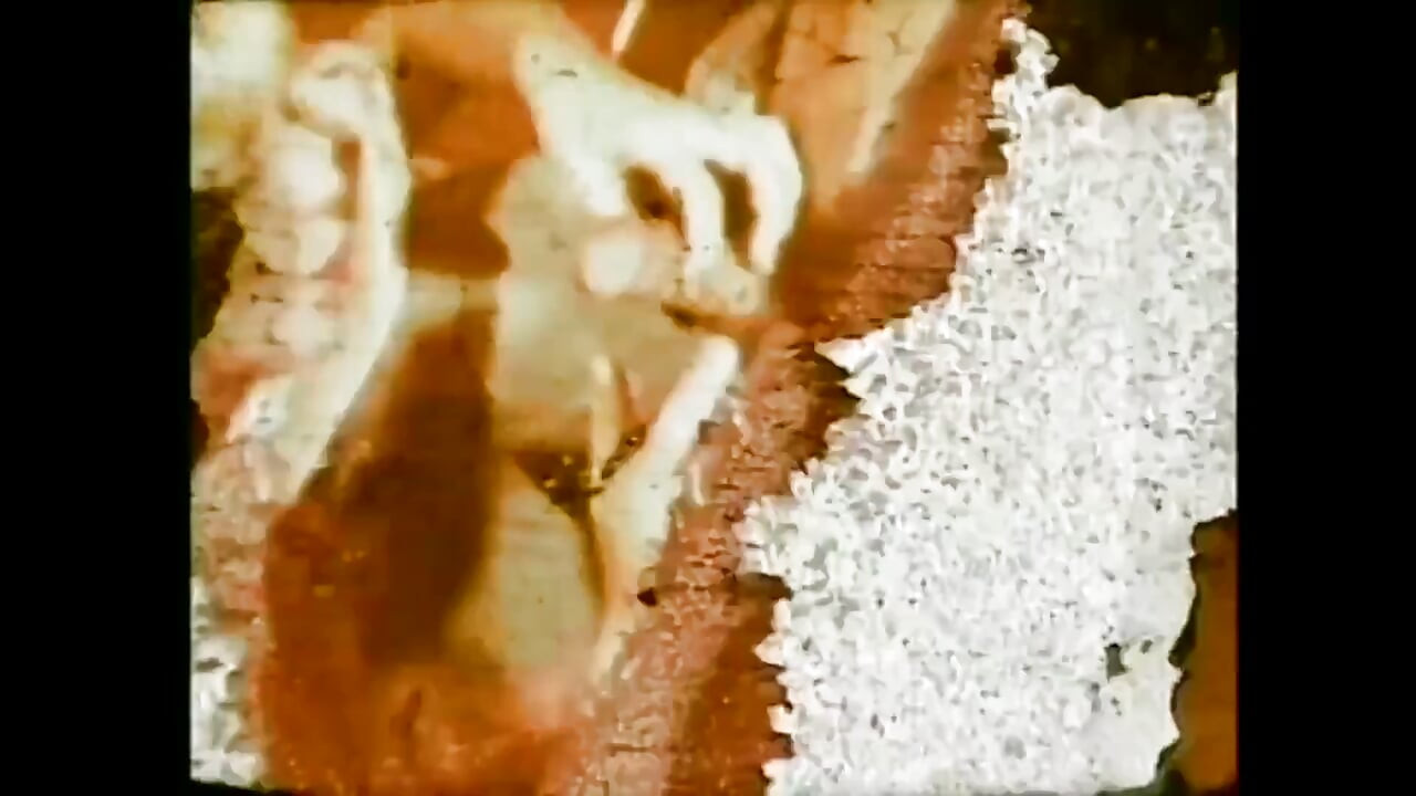 The Madness of My Vagina