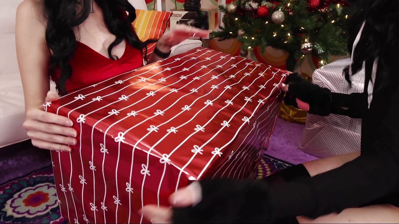 A Sarina and Robin Christmas