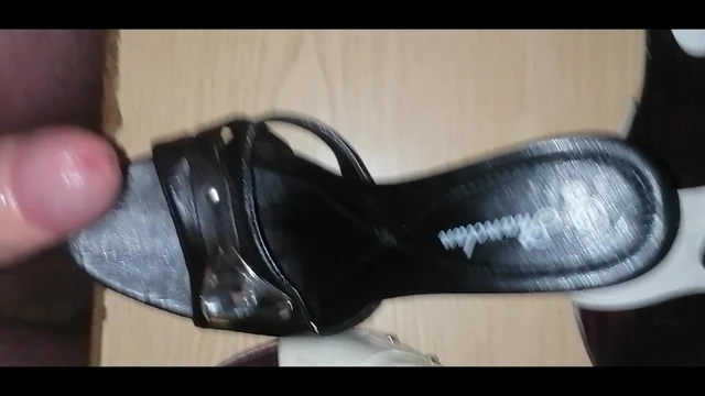 playing with colleagues' mules