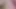 Desi bengali bhabhi  foreplay porn videos