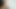 Horny Femboy Pee's & Orgasm Delicious Clit