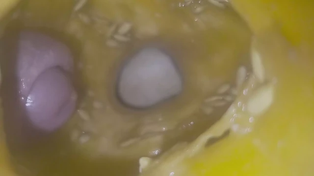 Cum  into melon