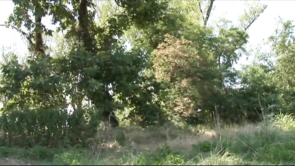 Sexy tourist ussy fucking in the forest