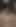 Gif sanatı. Halka açık plajda yarak ve taşaklar.