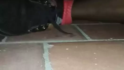 Sneaker gay