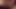 The beauty of sex on a macro lens. Maximum penetration details
