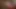 "Bırak, sikişelim": üvey babamın yeni kız arkadaşı yarağıma biniyor. POV