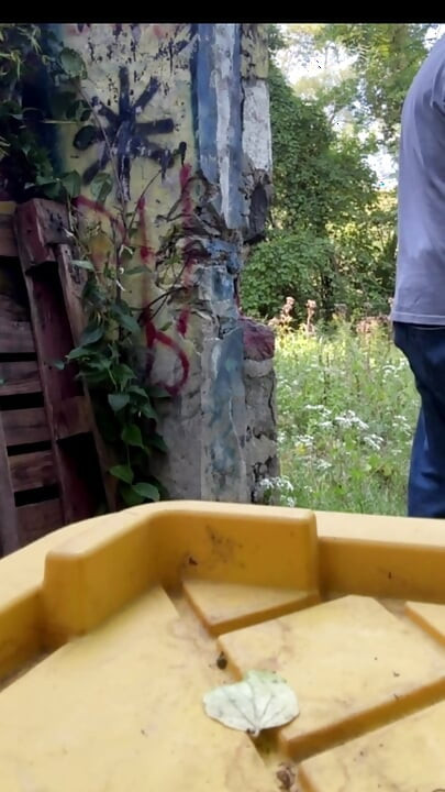 Audiție mitchibiționistă în direct dintr-un parc, apoi la toaletă