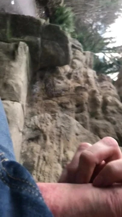 Cock flashing to girl