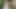 入れ墨ブロンドはPOVで喜びを取得します