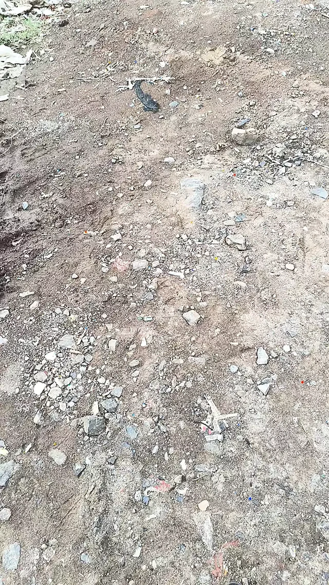 Outdoor peeing