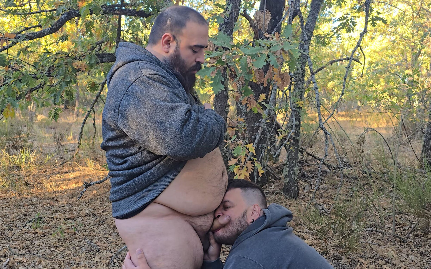 Fat Bears Suck Each Other's Cocks in the Forest
