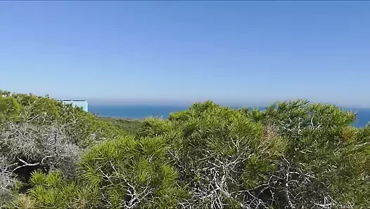 Sun porn video – Outdoor blowjobs with cum on tits with stranger