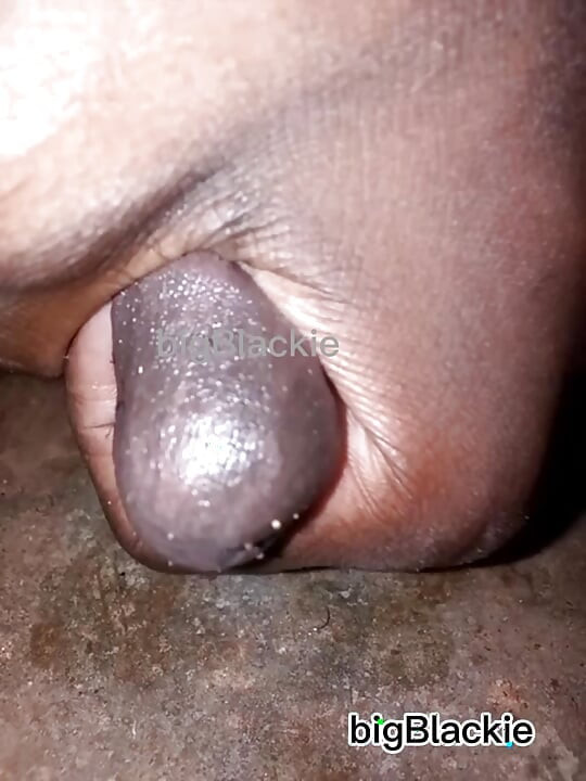 Silence alpha  i know you are watching