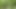 Raw Fuck in the Woods