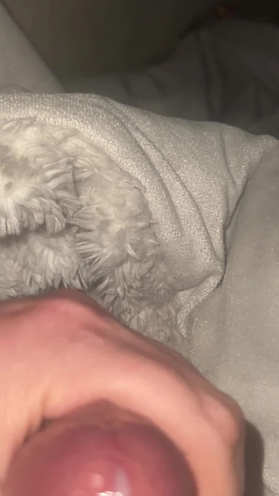See my cock in bed