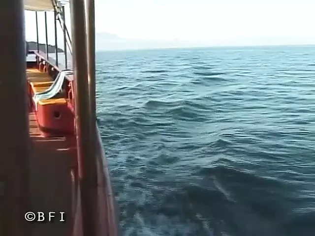 Passion sailings and so much sex fun