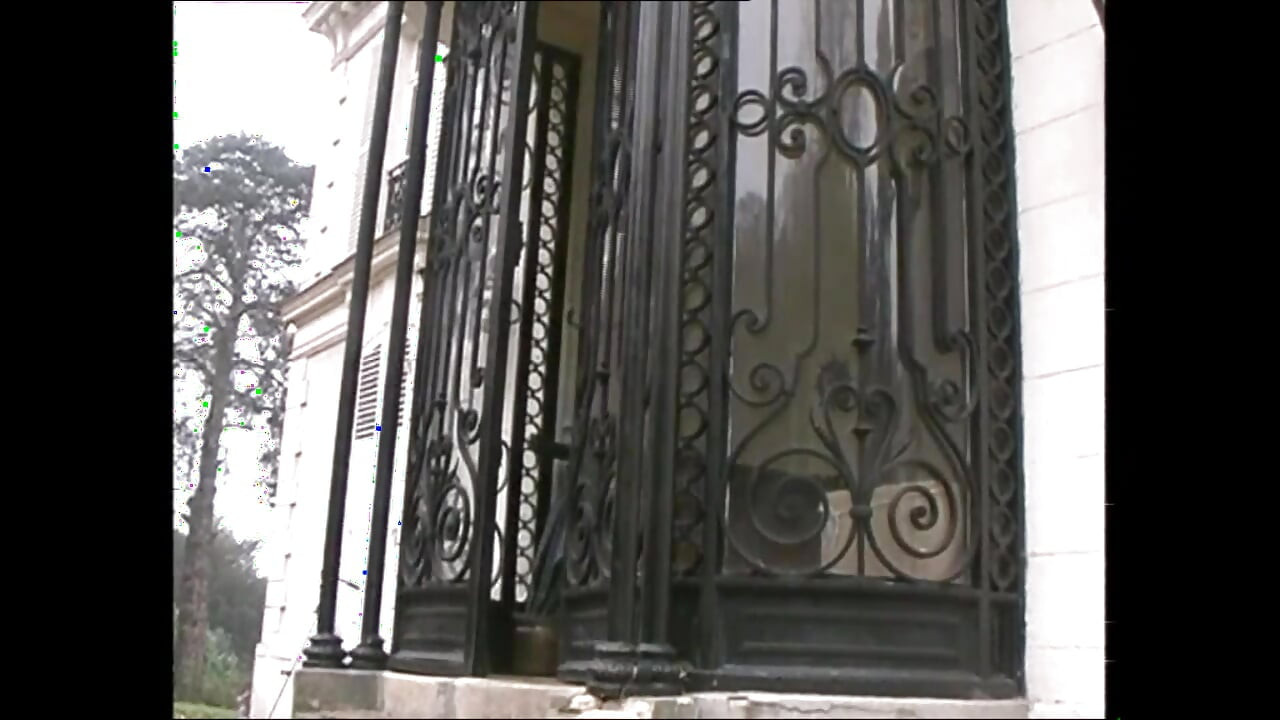 Požudna kuća Todois (film)