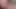Sexy BBW likes to suck balls and cock before fucking on the sofa