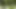 REALITY DUDES - Parker Heyes Gets Hard Watching Kyle Connors And Jax Thirio Fuck Out In The Woods