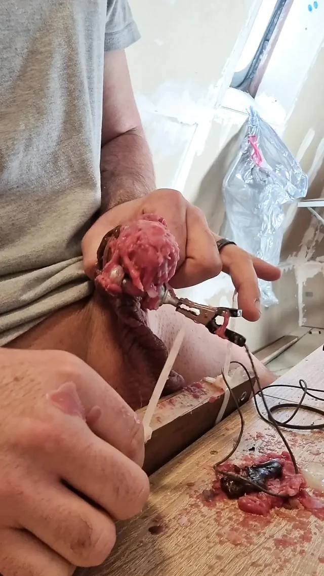 Hot wax, Spikes and elektro