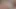 VIXEN Actress is Seduced By Hollywood Couple