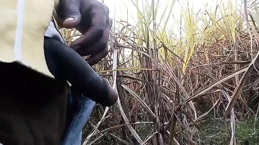 PettyLip _hand job gane me jakar hand Mithun Kiya gay boys and girls video village video normal motion detection generat