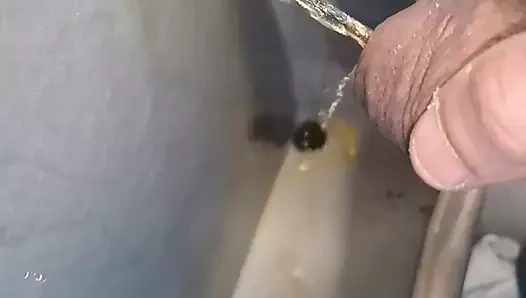 Piss