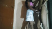 Pregled videozapisa