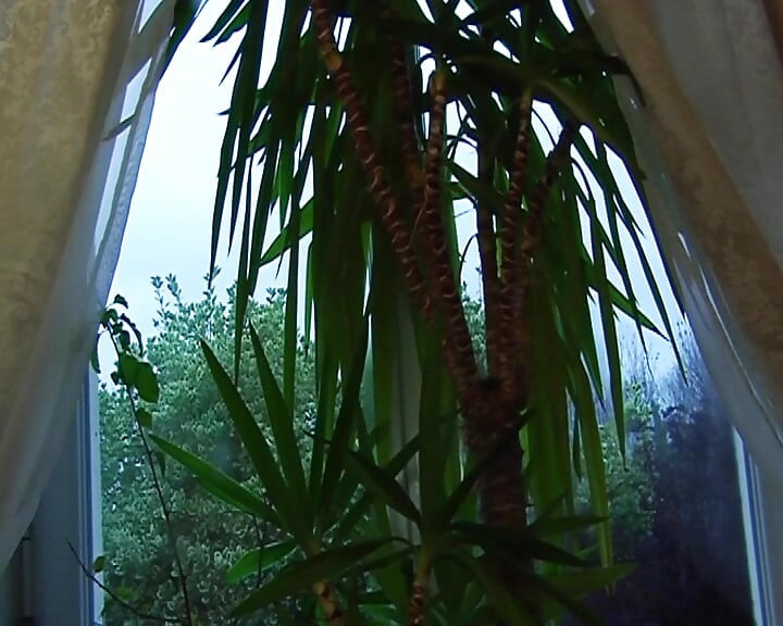 Squirting Teen From France Got Hardcore Fucked