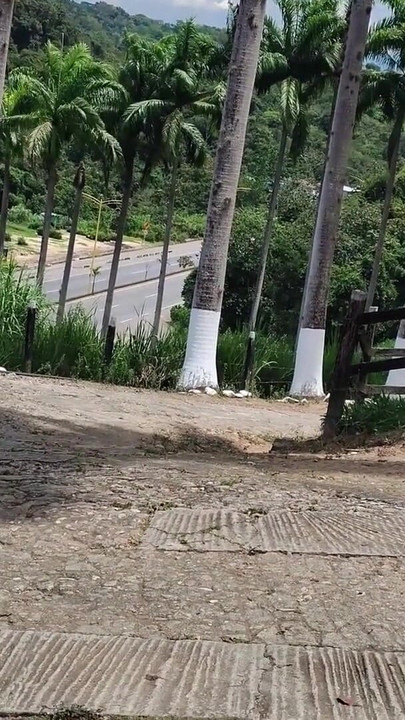 cheating wife sucking and fucking outdoor then gets fucked rough and raw after ass rimming | Clip 1