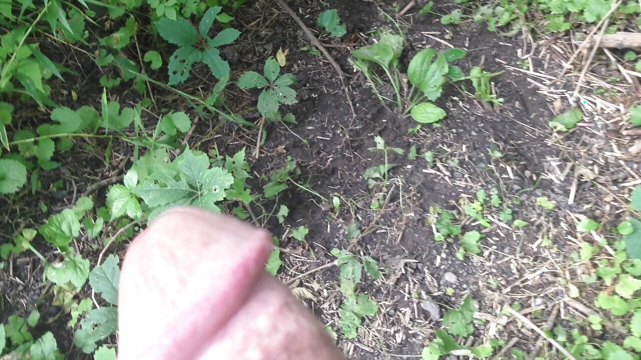 Presentazione di e 2 video