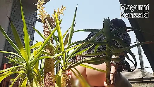 I Pee in the Potted Plant Again