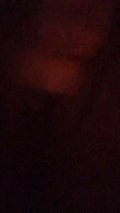 Puddin is wet