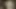 Dick Tease - Brown Night - Light