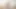 Assamese Young Boy Masturbated Video