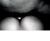 arab sex part 5