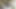 デートナイト・セダクション