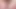 Masturbasi bareng svakom cici lara manara si cewek hot yang lagi asik masturbasi memeknya - close up