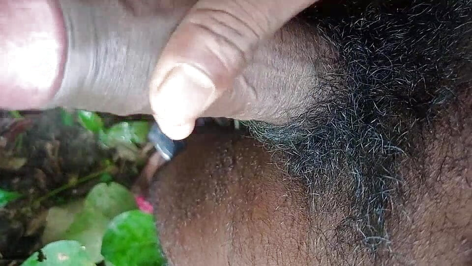 Melancap lembut di dalam hutan