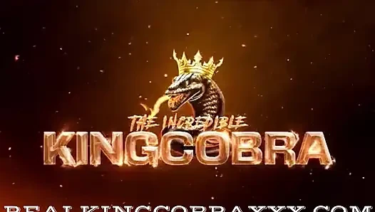 Swamp barbee ingin king cobra bbc untuk makan siang
