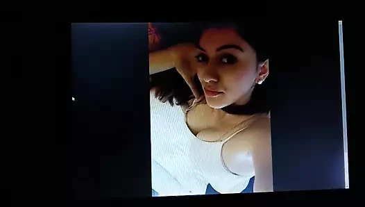 hansika
