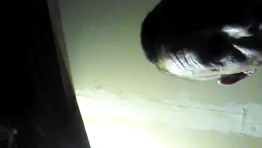 dildo ass gay virgin