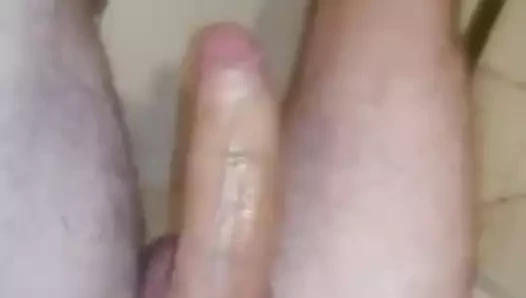 benim Alman büyük horoz